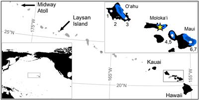 Dynamic Holocene Vegetation and North Pacific Hydroclimate Recorded in a Mountain Peatland, Moloka‘i, Hawai‘i